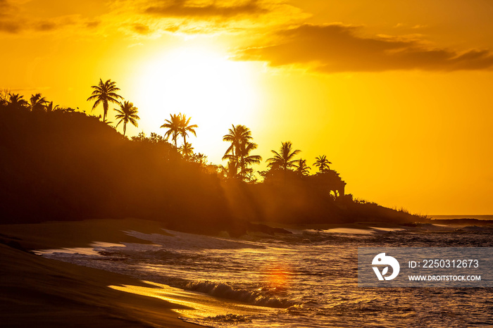 热带日落在棕榈树的海滩上