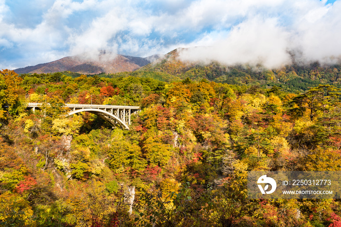 日本　紅葉の宮城鳴子峡大深沢橋