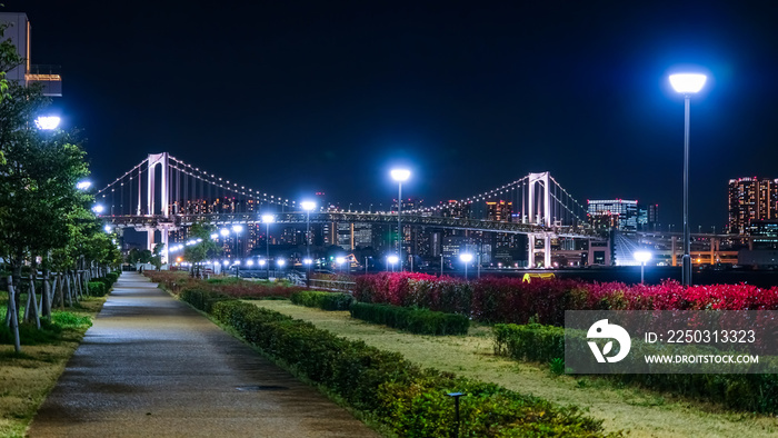 東京 豊洲ぐるりパーク 遊歩道の夜景 レインボーブリッジ