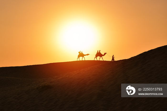 美丽的日落，印度斋沙默尔沙漠沙丘上的骆驼剪影
