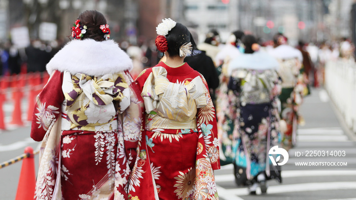 晴れ着姿の女性（成人式のイメージ）