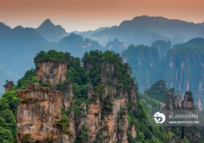  Zhangjiajie National forest park at sunset, Wulingyuan, Hunan, China