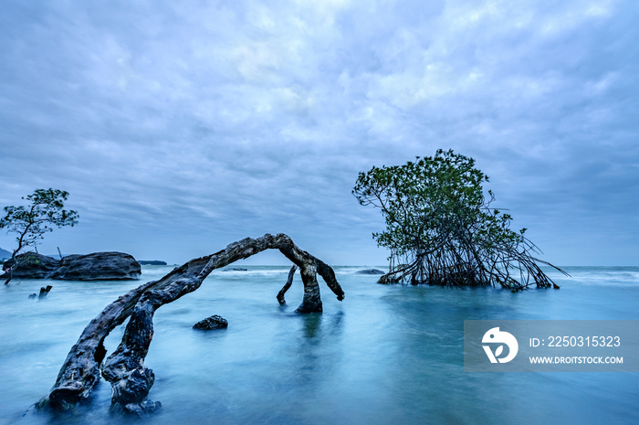 Dawn at Snake beach on Phu Quoc island, Kien Giang, Vietnam