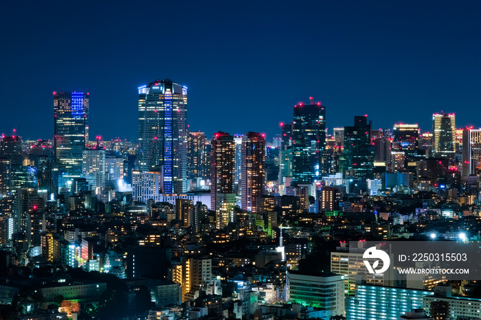 東京都 恵比寿ガーデンプレイスタワーからの夜景 六本木方面