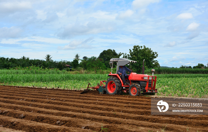 Farmer in tractor plowing land with red tractor for agriculture