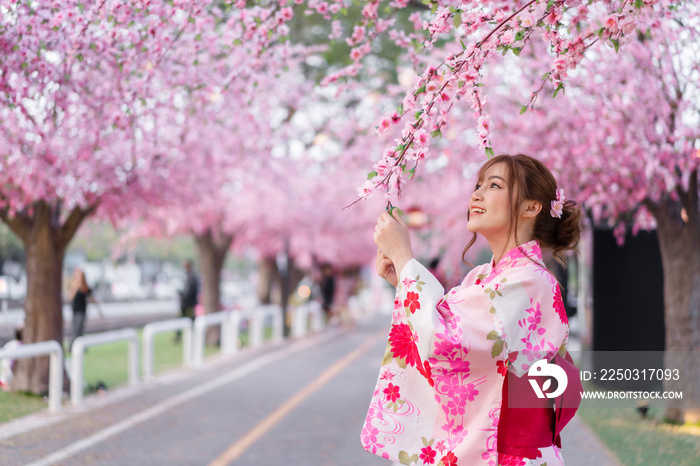 穿着浴衣（和服）的女人看起来像樱花或樱花在花园里盛开