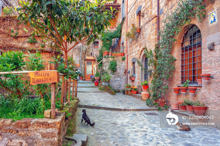 Beautiful alley in old town, Italy, Europe