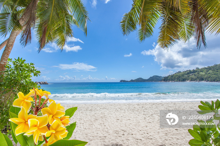 plage des Seychelles, Anse Takamaka, Mahé