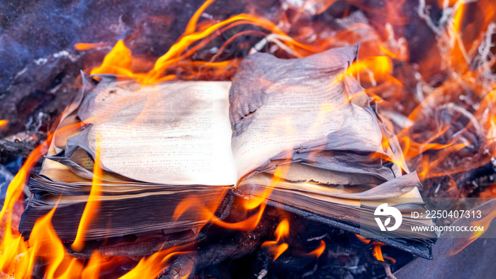 Burning books. An open book on the hearth.