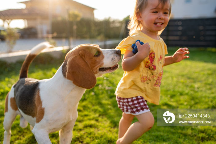 Cute baby girl chased by beagle dog in garden in summer day.