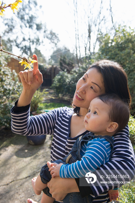 Mother showing baby boy blossom on tree, in garden