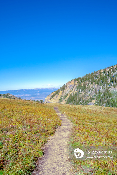 犹他州Timpanogos山上的徒步小径