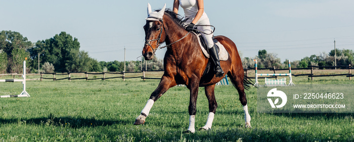 A woman jockey rides a horse in a competition in jumping.