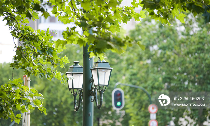 街灯-古老的复古风格，背景是树木