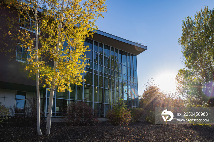 Beautiful fall color around the campus of Northern Arizona University