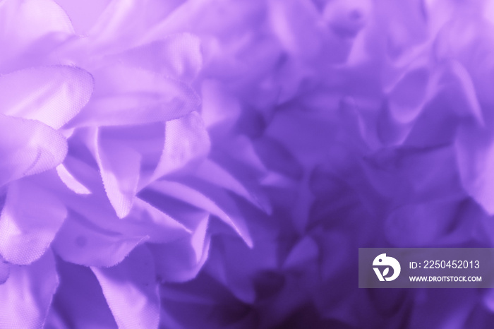 美丽的抽象色彩白色和紫色的花朵背景和粉色的花框以及白色和粉色的别针
