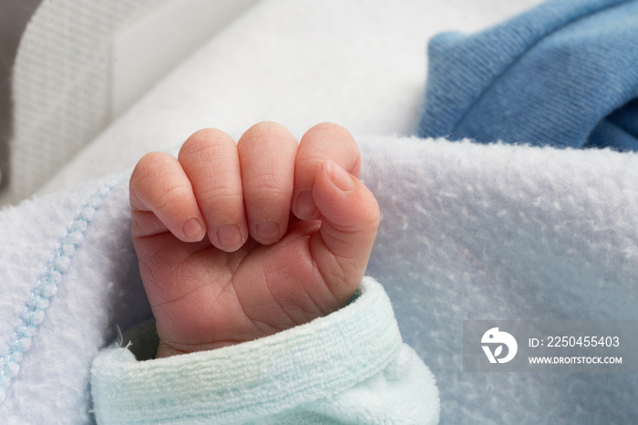 Little hand of premature baby