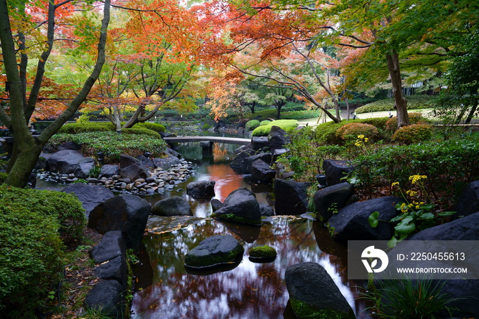 カラフルな秋の日本庭園