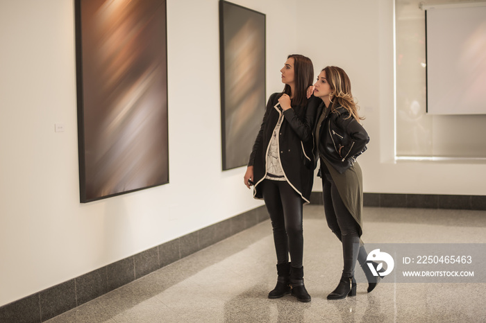两个女孩朋友在美术馆看现代绘画