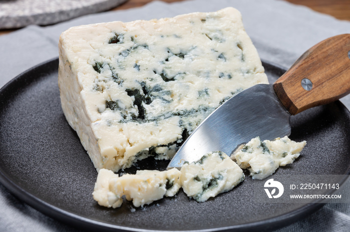奶酪系列，来自法国苏尔松河畔罗克福格罗滕的法国蓝奶酪罗克福