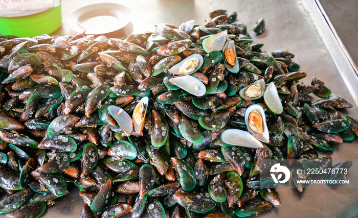 Fresh green mussel shell for sale in the seafood market