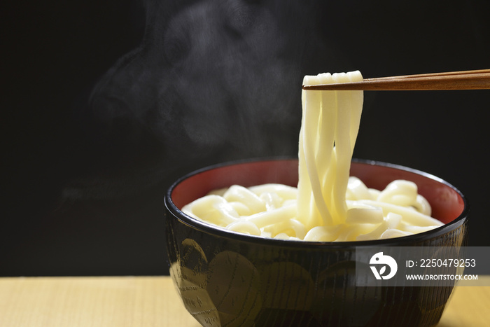 和食のうどん