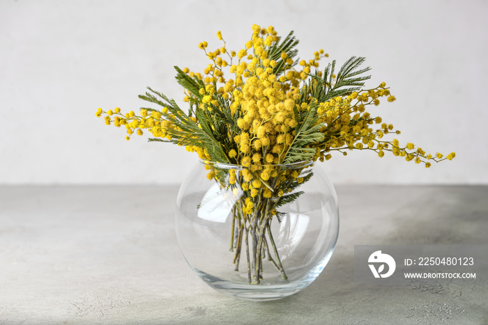 Vase with beautiful mimosa flowers on grey background