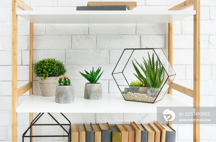 Florarium vase with succulents and cactuses in pots on rack at white brick wall background.