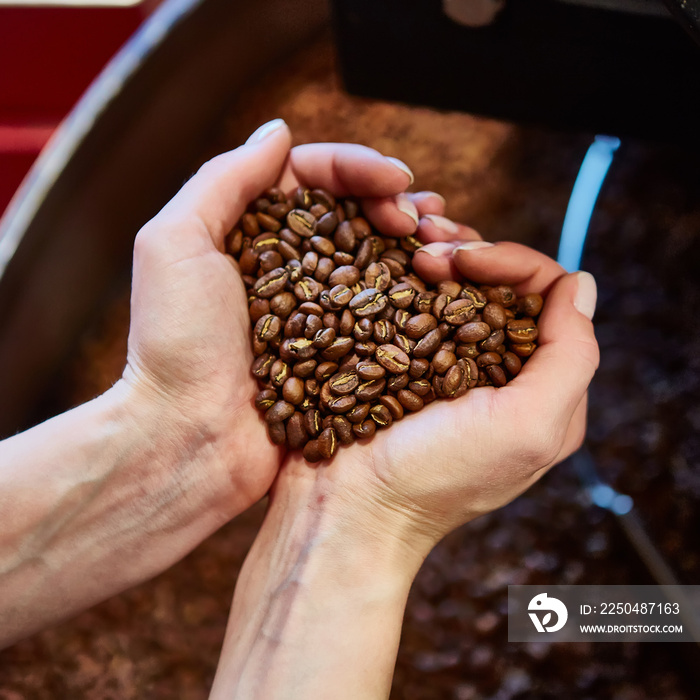 close-up view of roasted coffee beans in hand