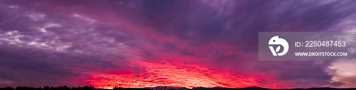 Clorful sky panorama during sunset, sunrise background, Colorful clouds.