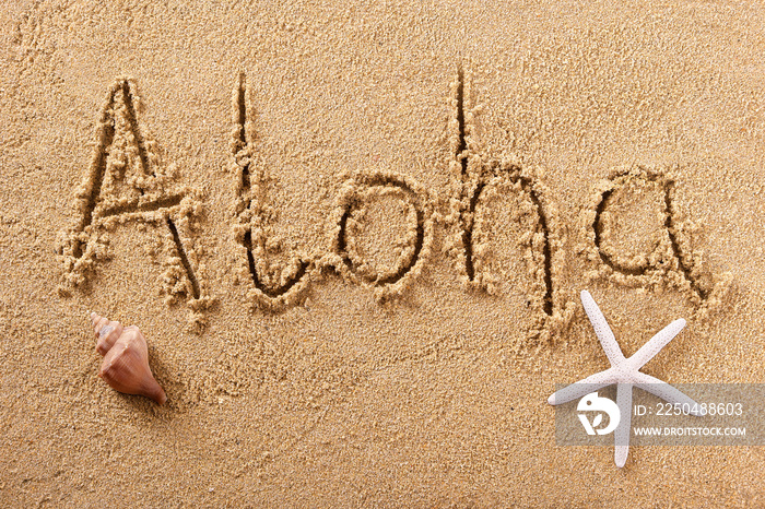 Aloha greeting word written in sand on a sunny hawaii summer beach with starfish holiday vacation tr