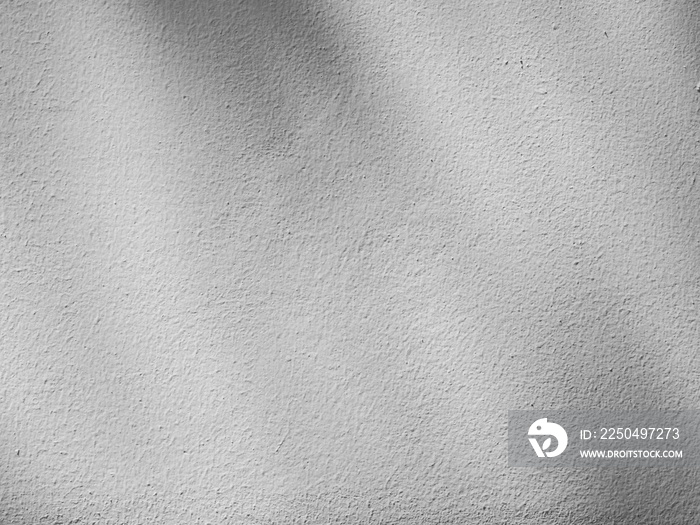 白色墙壁背景上的抽象树叶阴影