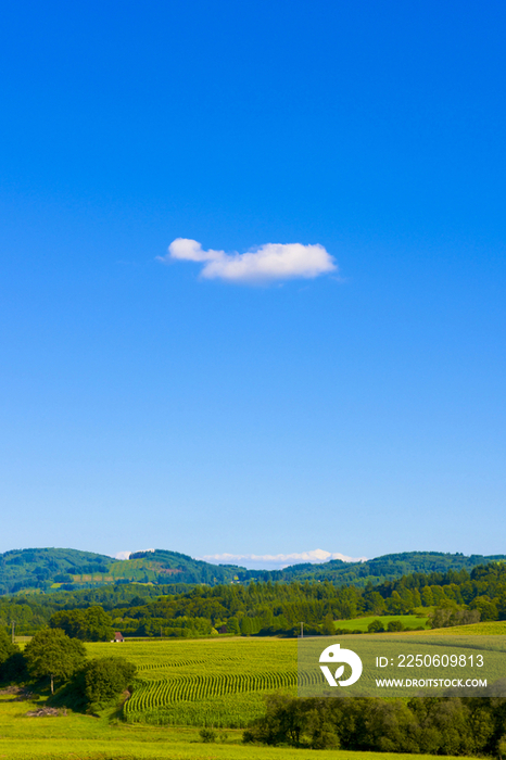 Limousin region in France