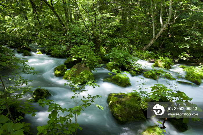 Oirase River, Aomori, Japan