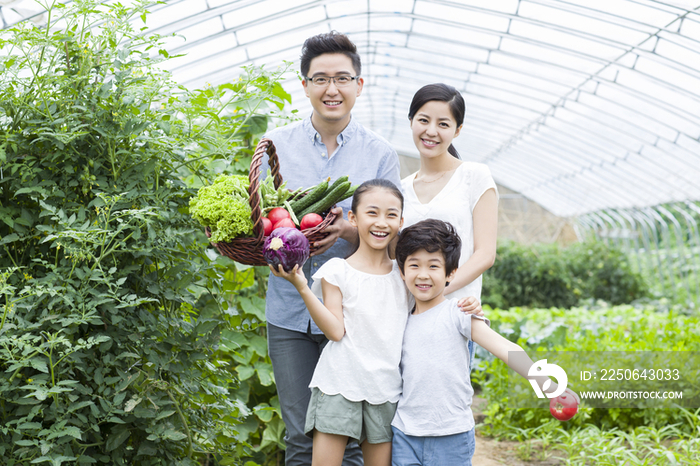 年轻家庭采摘新鲜蔬菜