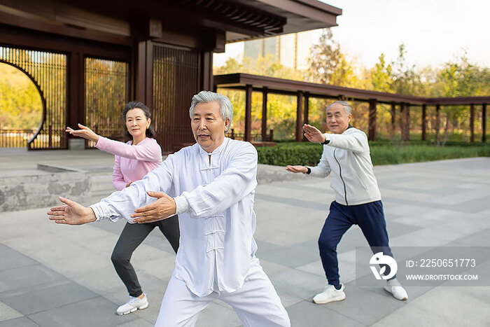 老年人在公园练太极