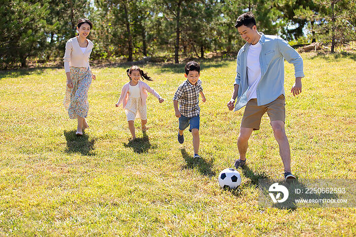 快乐的年轻家庭在草地上踢足球