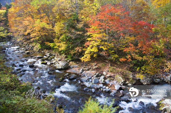 Nikko in autumn, Tochigi, Japan