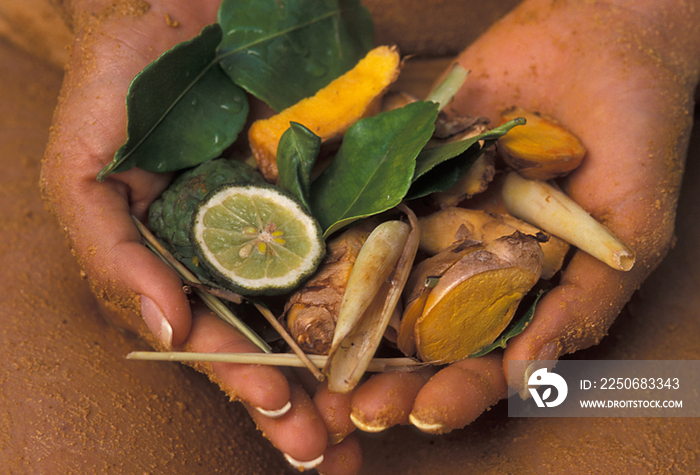 Ingredients of the thai herbal compresses and several other thai spa treatments