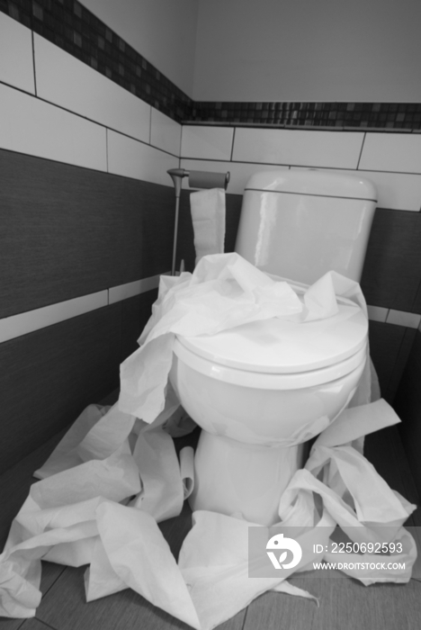 Toilet Paper Strewn in a Bathroom