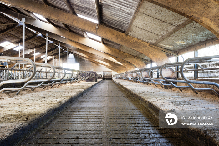 Dairy farm barn buildings