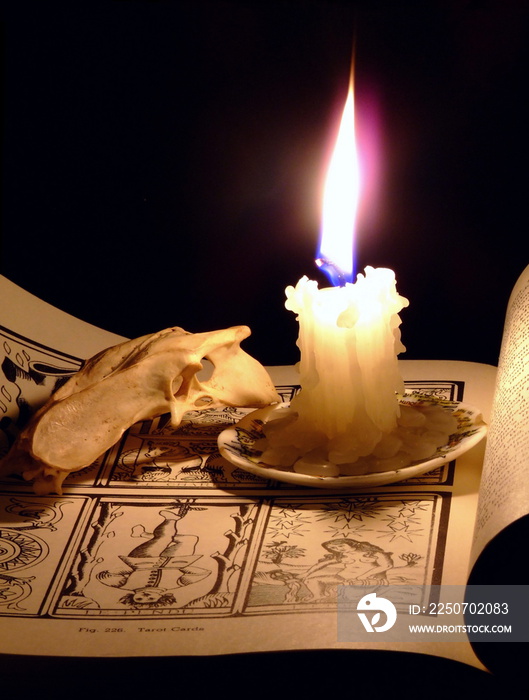蜡烛、骷髅和书