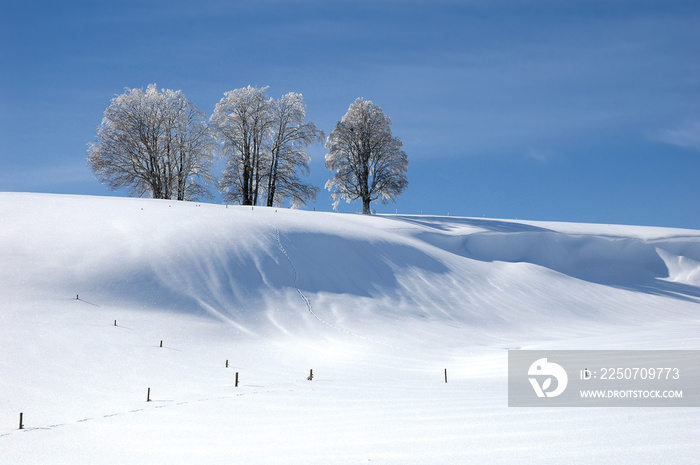 Winterlandschaft 11