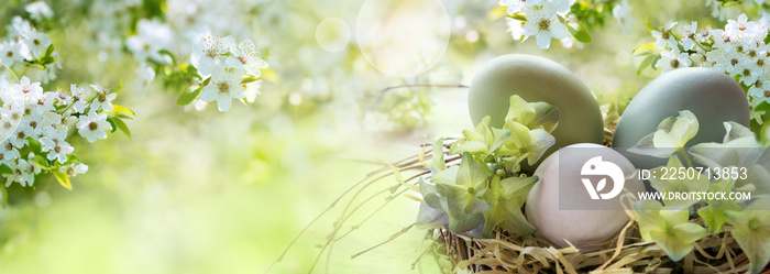 春天的复活节彩蛋