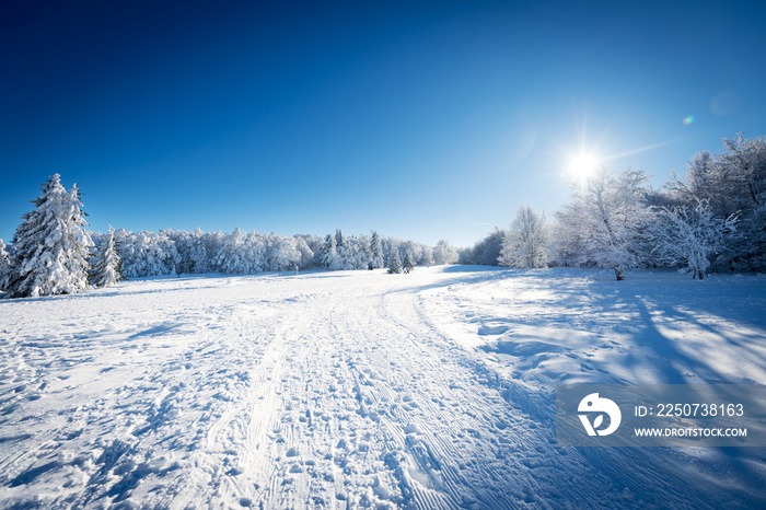 Paysage de neige