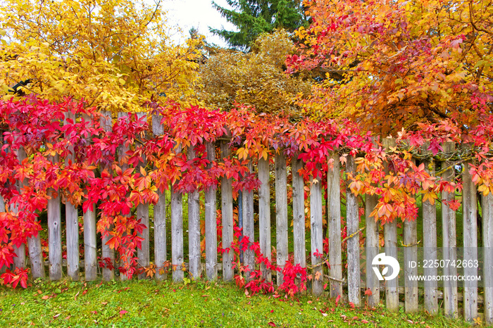 Garten im Herbst