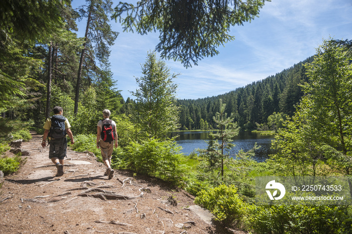 Wanderer am Herrenwieser See, Westweg, Forbach, Schwarzwald, Bad