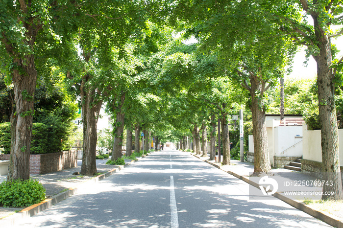 高級住宅街