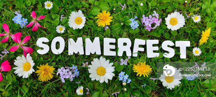 Sommerfest Text auf Blumen Wiese