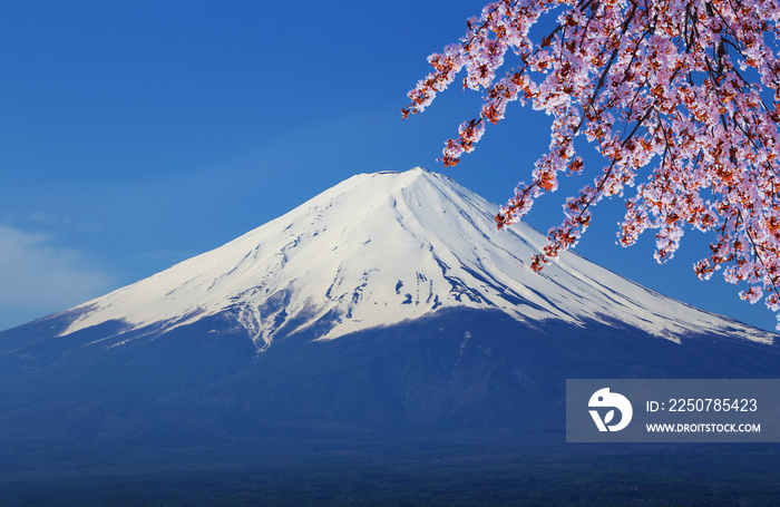 从川口湖眺望富士山